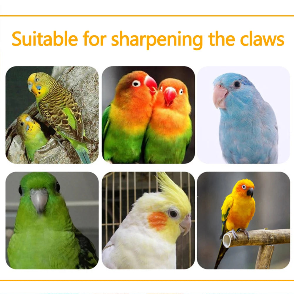 1PC Colored Parrot Perch Toy – Quartz Sand Paw Sharpening, Bird Cage Accessory
