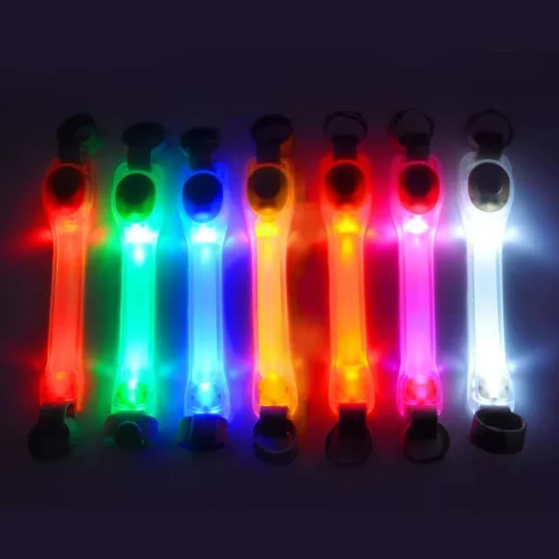 Waterproof LED Flashing Dog Safety Collar – Night Running & Anti-Loss