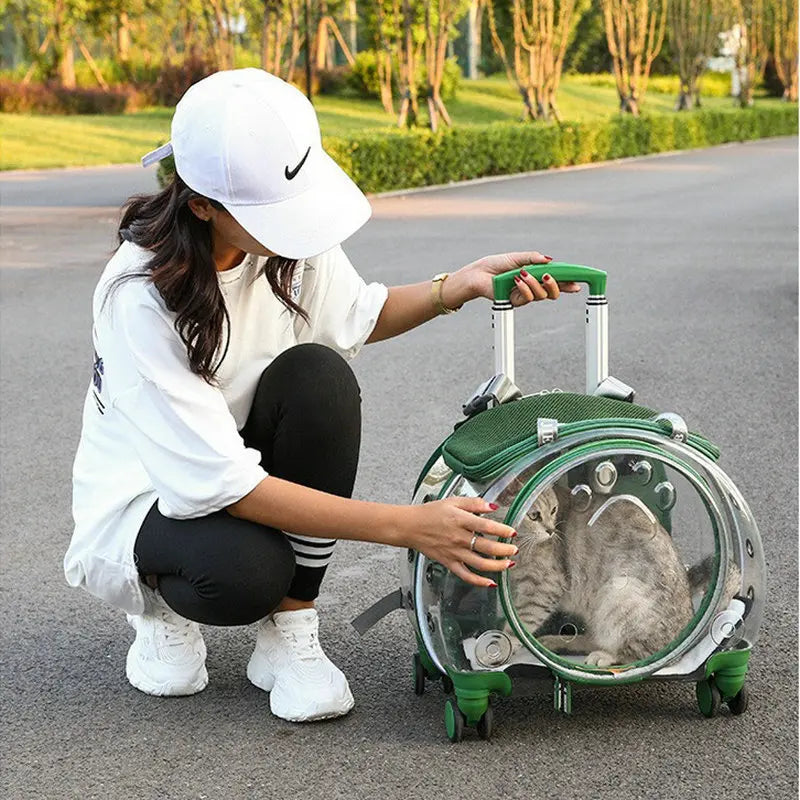 Small Pet Trolley Bag – Clear, Breathable, Portable Carrier for Cats & Pets
