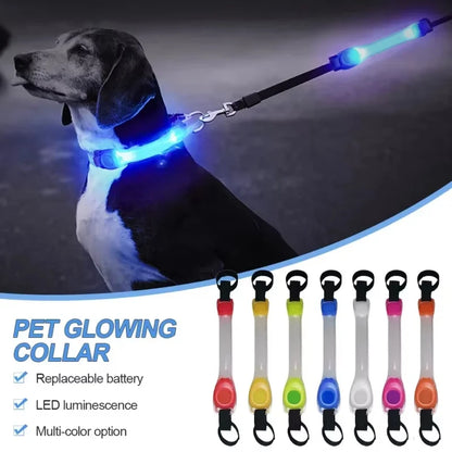 Waterproof LED Flashing Dog Safety Collar – Night Running & Anti-Loss