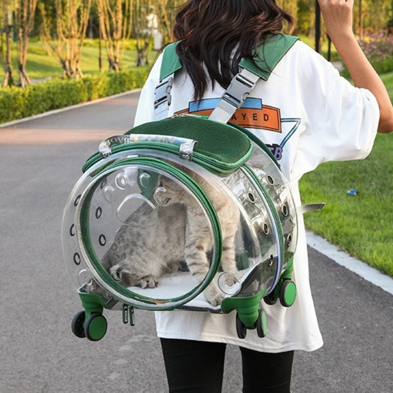 Small Pet Trolley Bag – Clear, Breathable, Portable Carrier for Cats & Pets