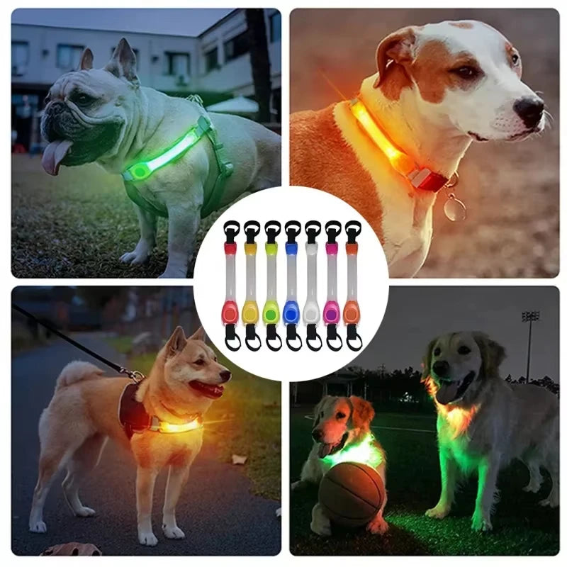 Waterproof LED Flashing Dog Safety Collar – Night Running & Anti-Loss